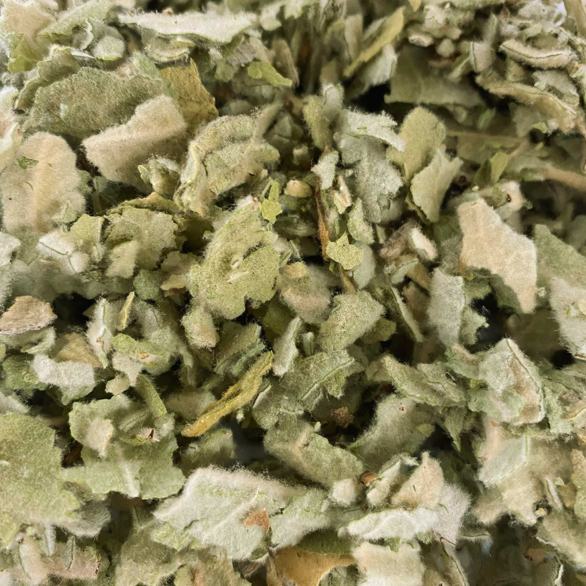 Organic Mullein Tea for Respiratory Support