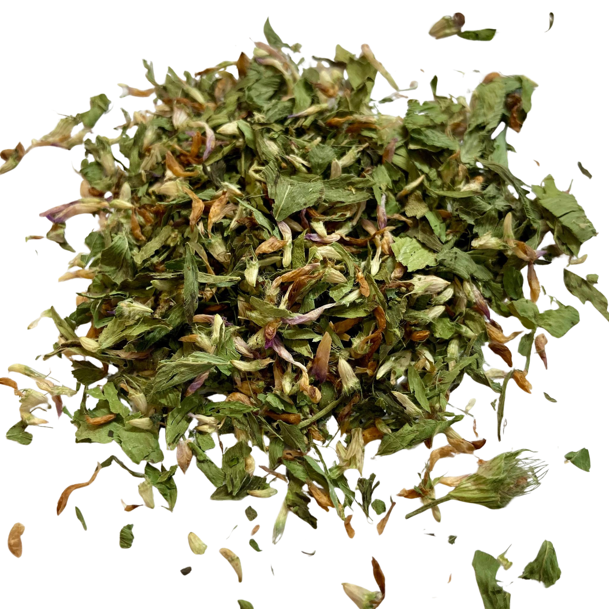 Organic Red Clover Herbal Tea Menopause and Skin