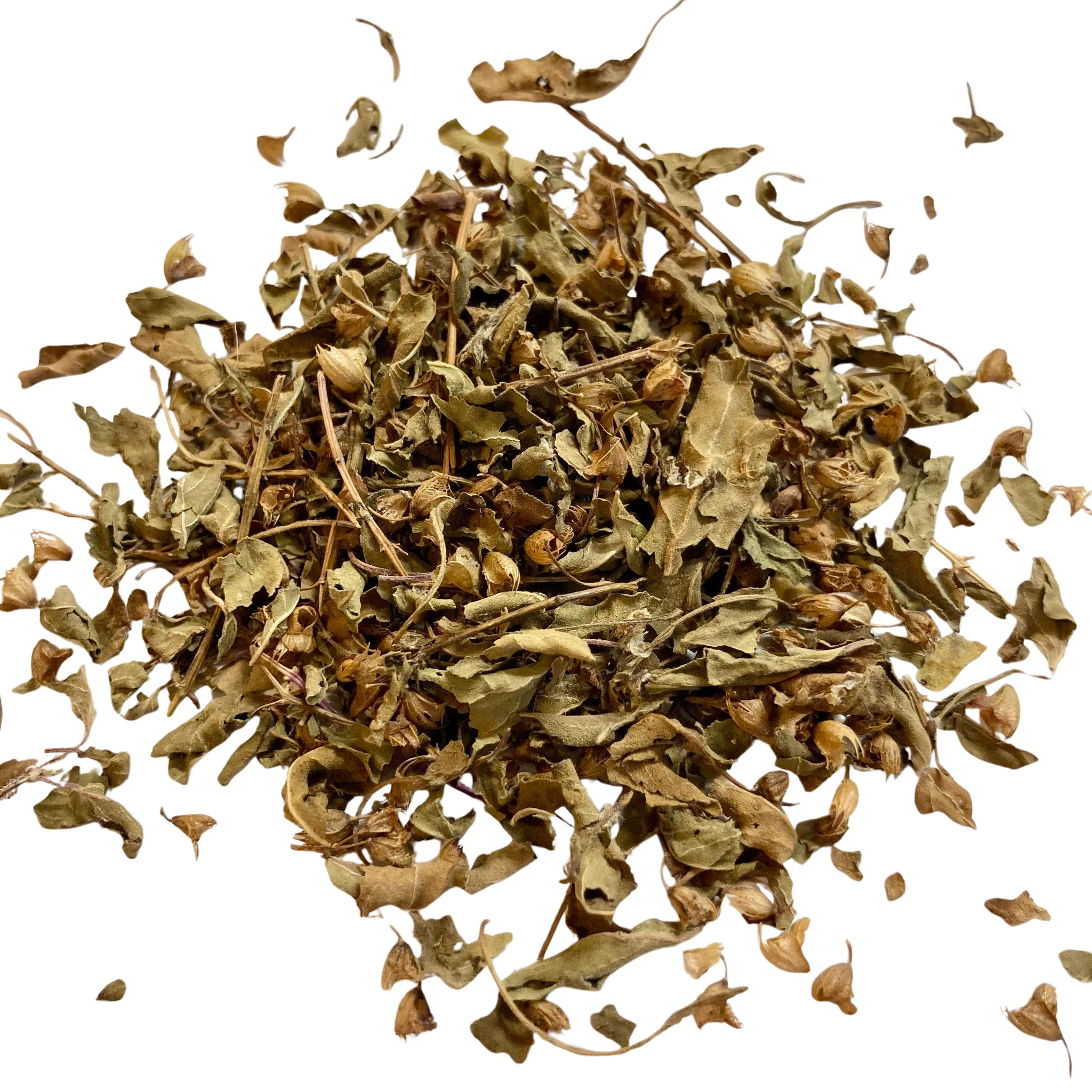 Organic Tulsi Herbal Tea Relaxing and Immunity