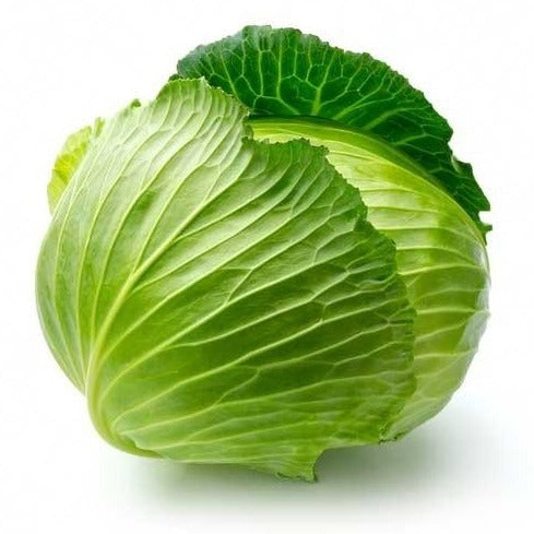 CABBAGE GREEN ORG