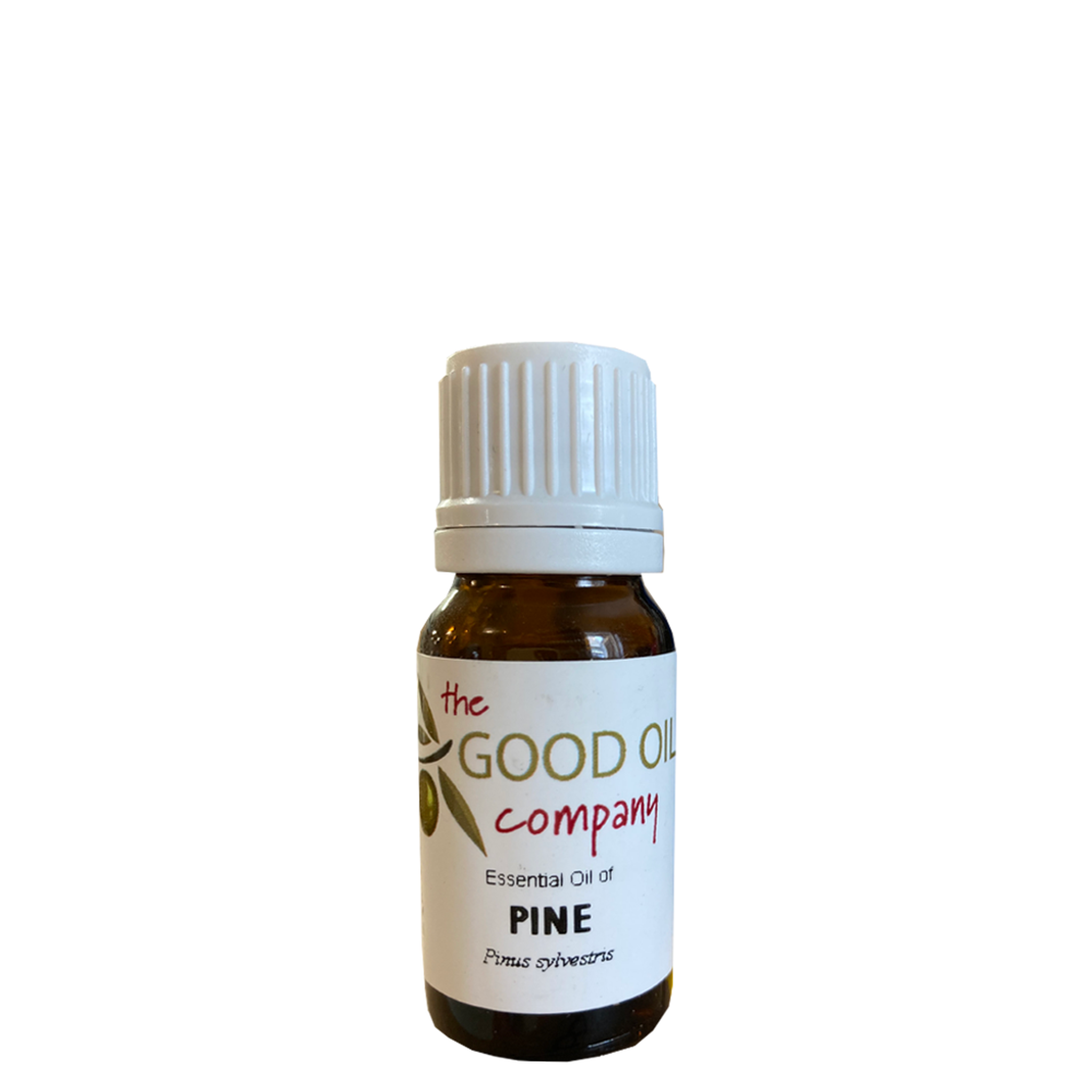 GOOD OIL COMPANY PINE ESSENTIAL OIL 10ML - The Herbal Dispensary Raglan