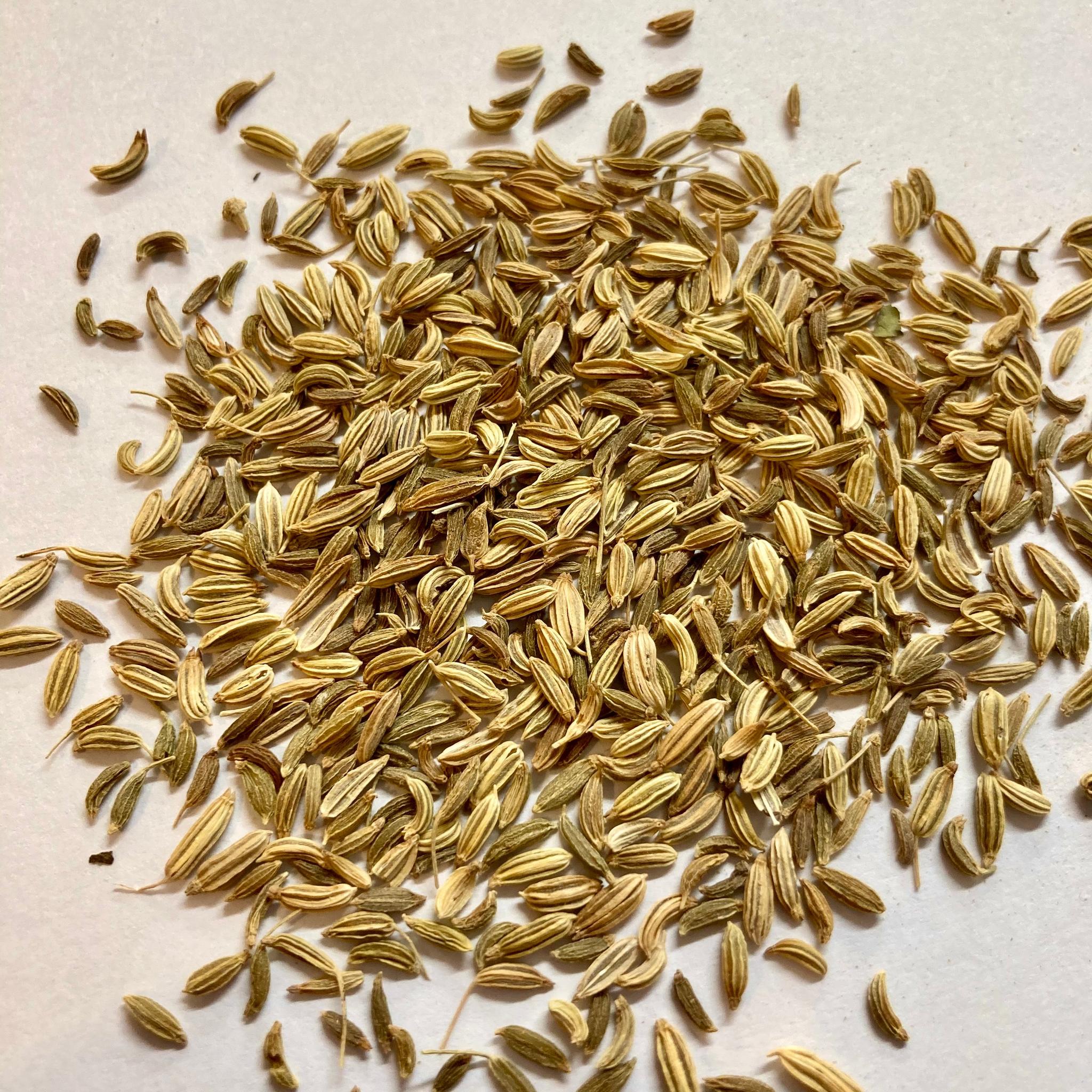 ORGANIC FENNEL SEEDS HERBAL TEA - The Herbal Dispensary Raglan