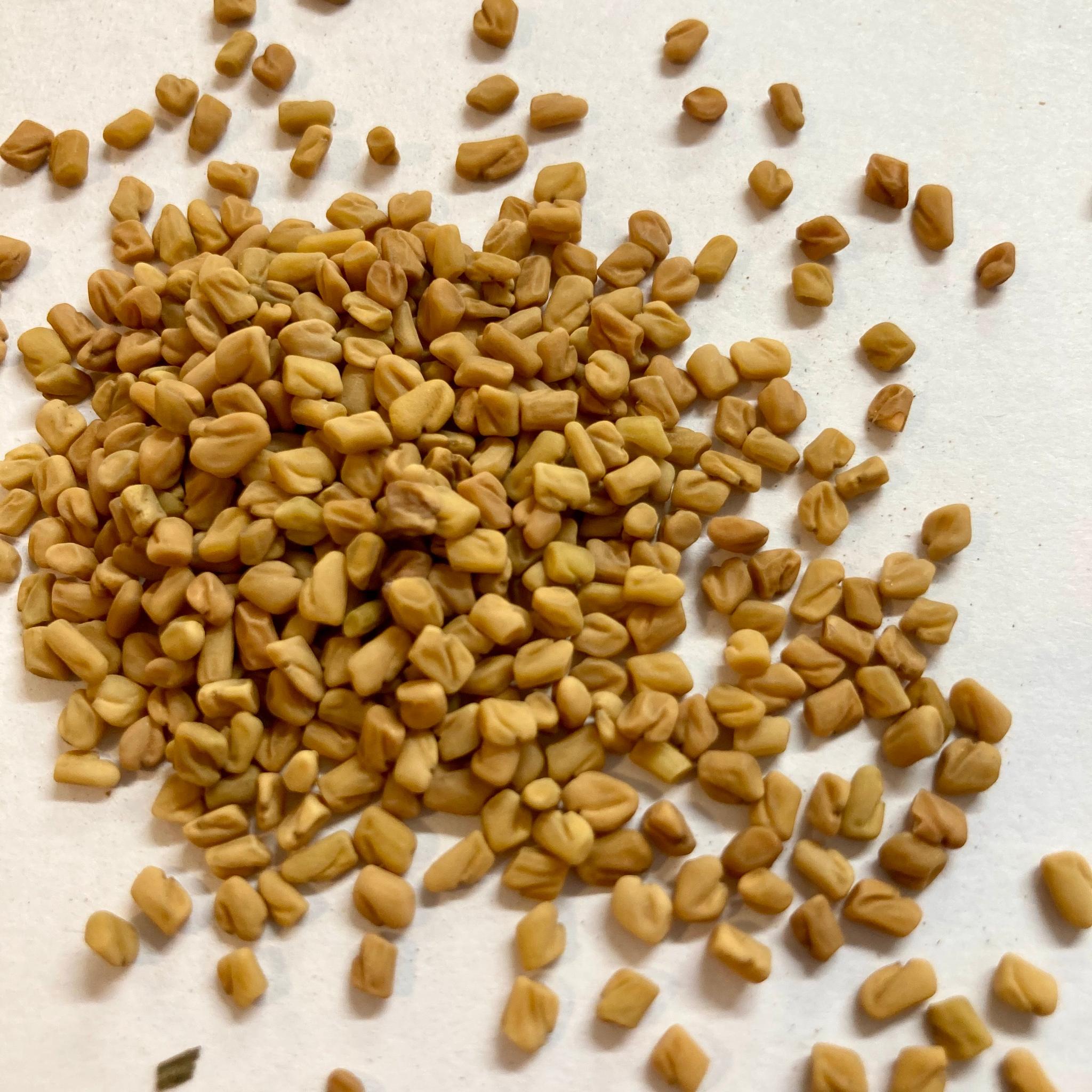 ORGANIC FENUGREEK SEEDS HERBAL TEA - The Herbal Dispensary Raglan