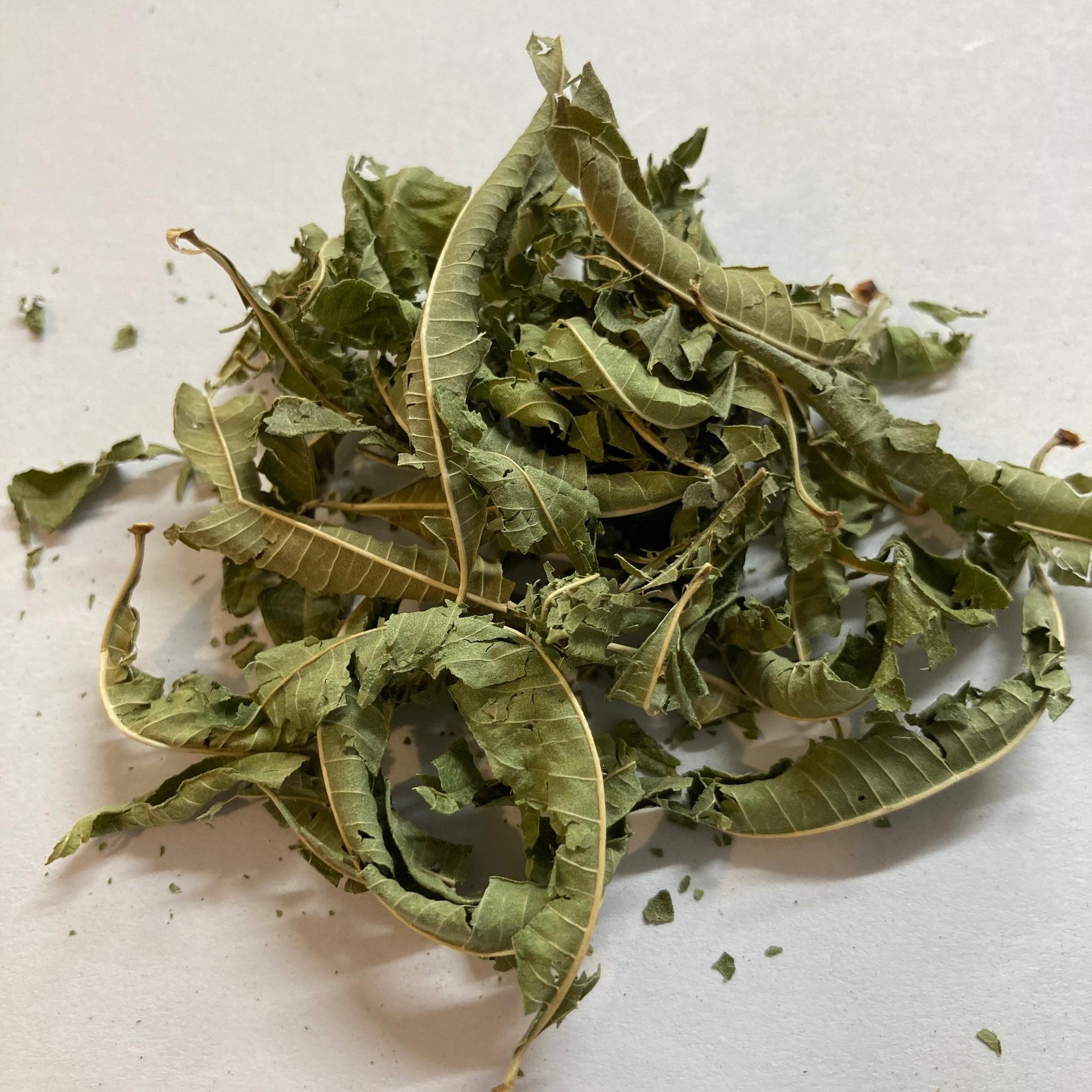 ORGANIC LEMON VERBENA HERBAL TEA - The Herbal Dispensary Raglan