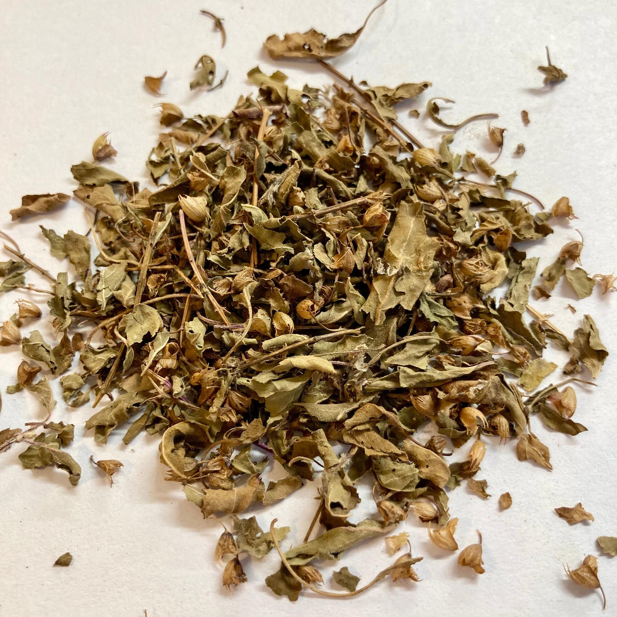 ORGANIC TULSI HERBAL TEA - The Herbal Dispensary Raglan