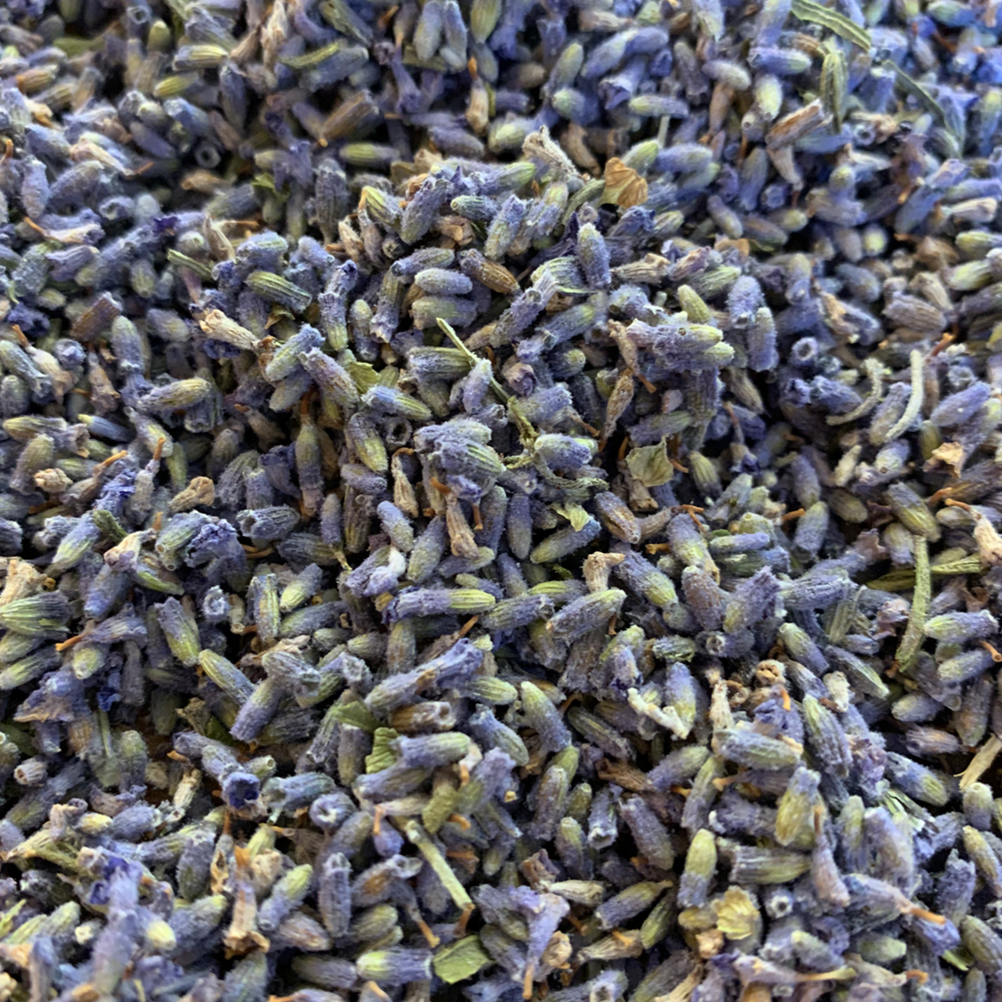 ORGANIC LAVENDER HERBAL TEA - The Herbal Dispensary Raglan