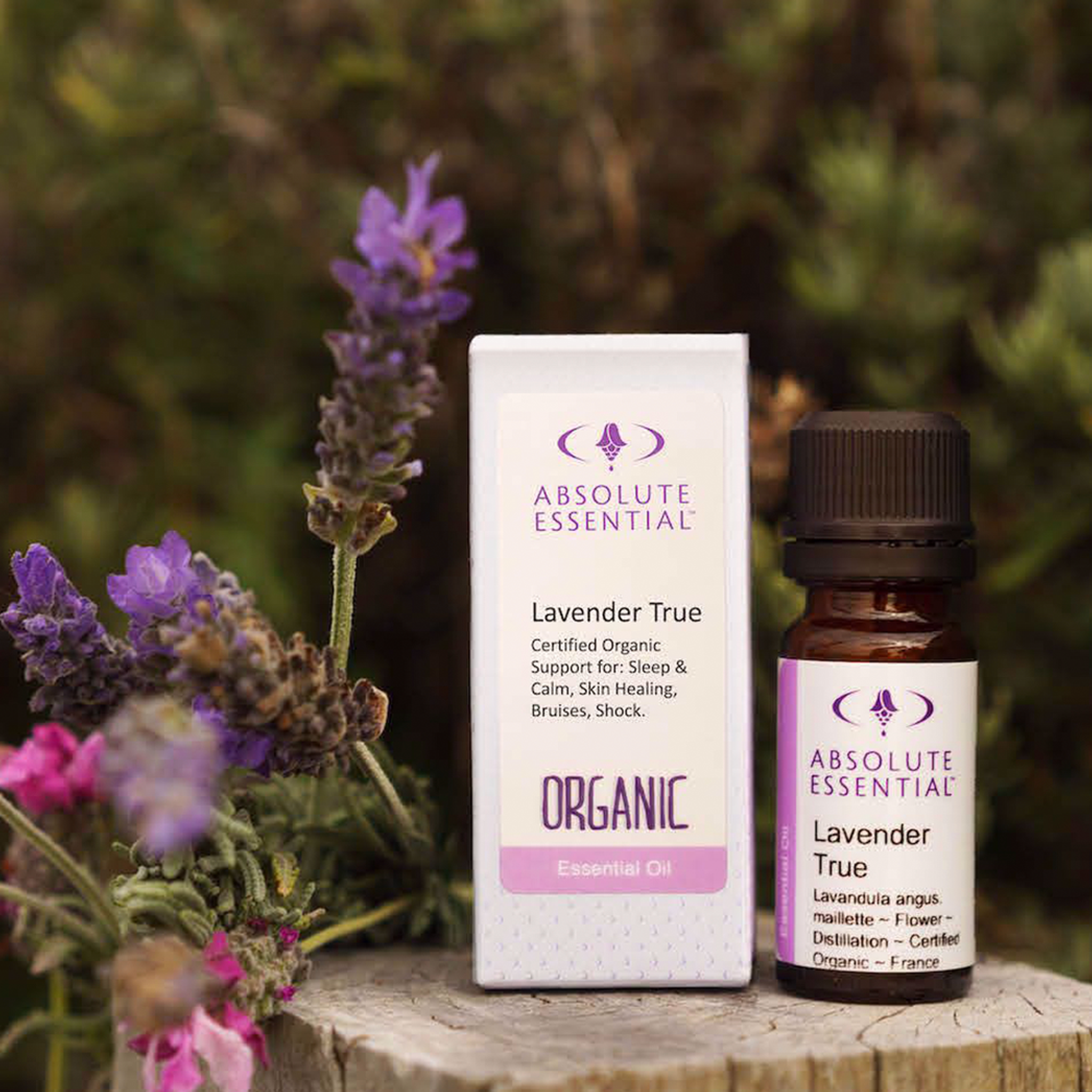 ABSOLUTE ESSENTIALS ORGANIC LAVENDER TRUE 10ML - The Herbal Dispensary Raglan