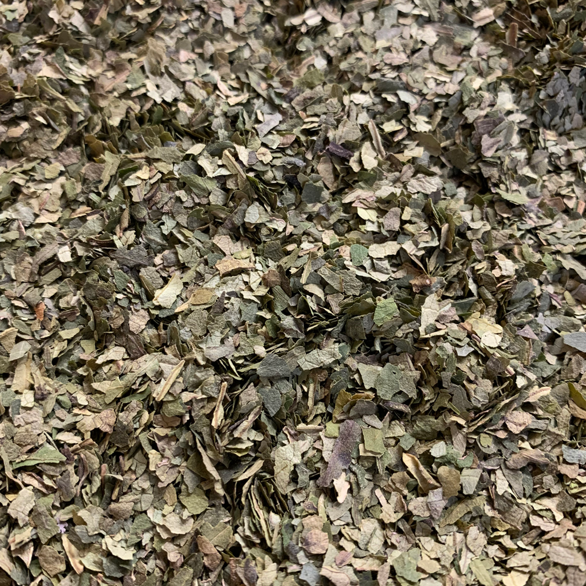 ORGANIC NZ NATIVE KAWAKAWA HERBAL TEA - The Herbal Dispensary Raglan