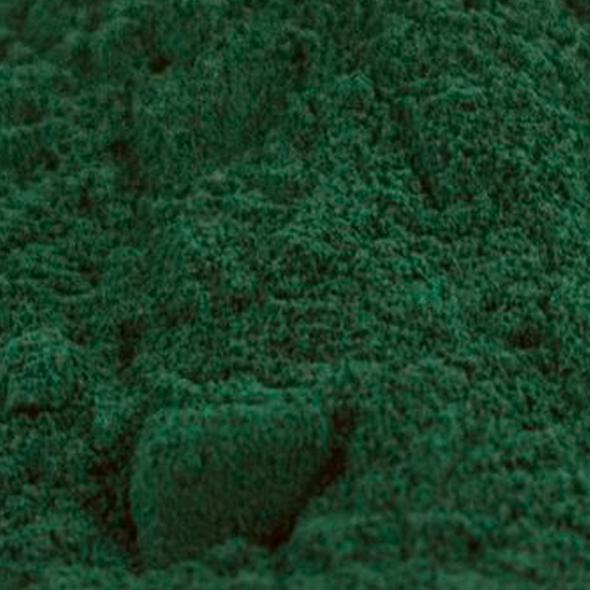 ORGANIC SPIRULINA POWDER - The Herbal Dispensary Raglan