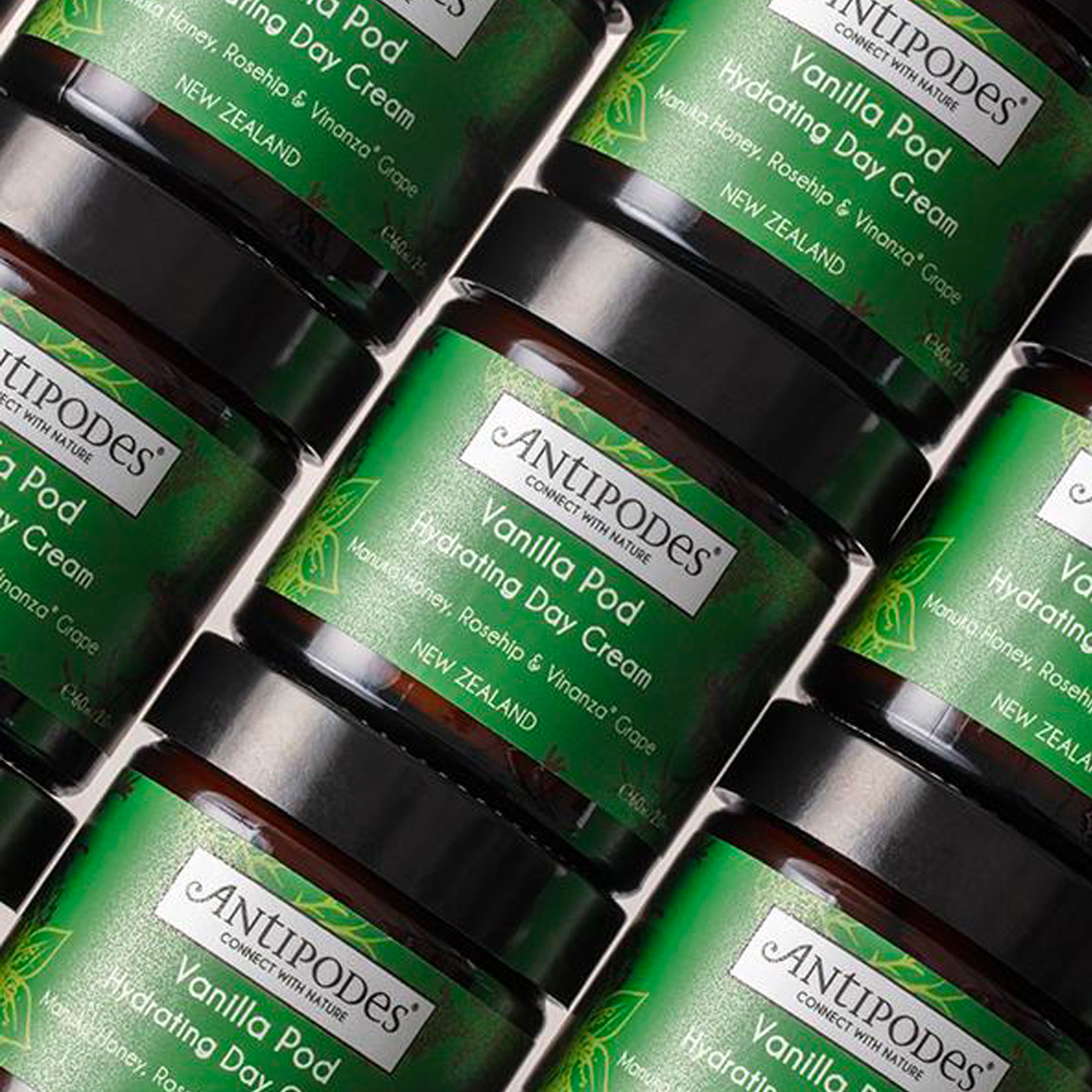 ANTIPODES VANILLA POD HYDRATING DAY CREAM 60ML - The Herbal Dispensary Raglan