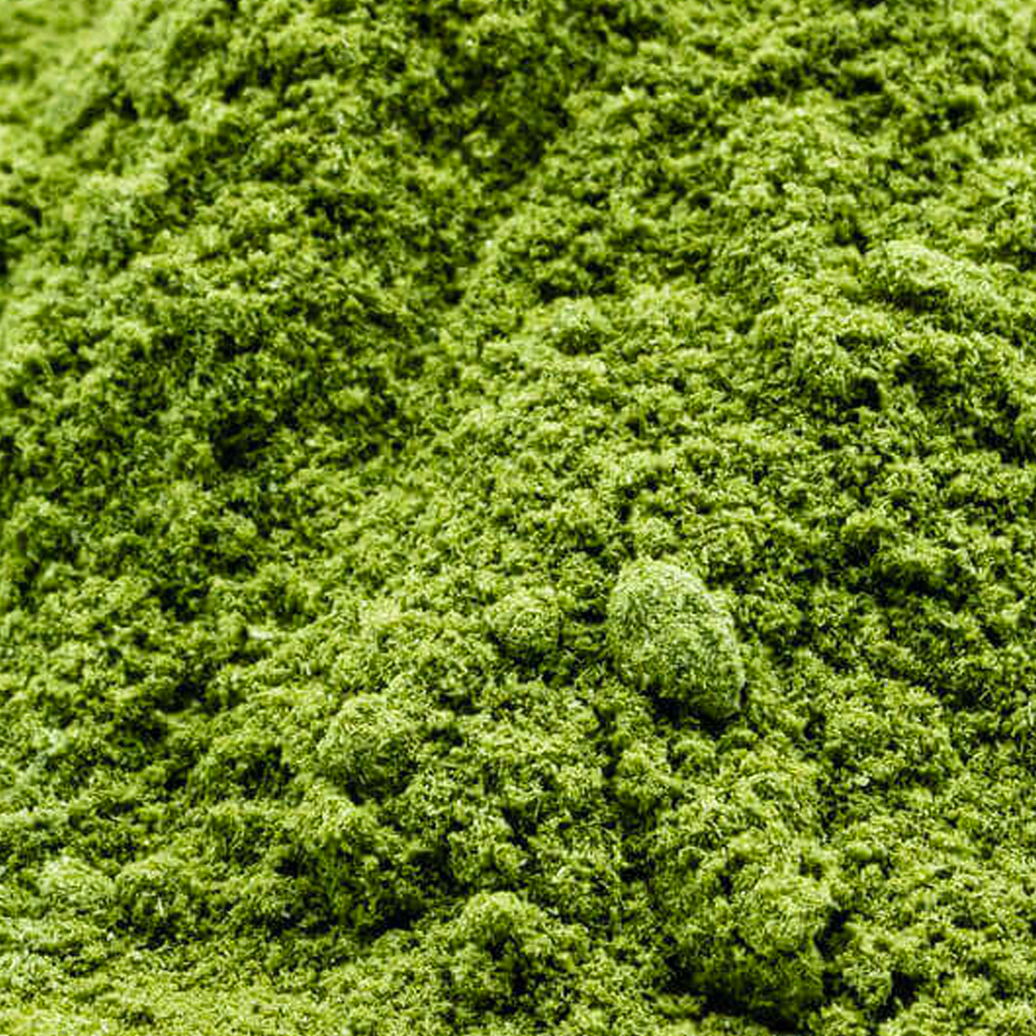 ORGANIC BARLEY GRASS POWDER - The Herbal Dispensary Raglan