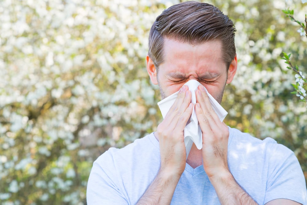 Understanding and Managing Allergies: A Holistic Approach