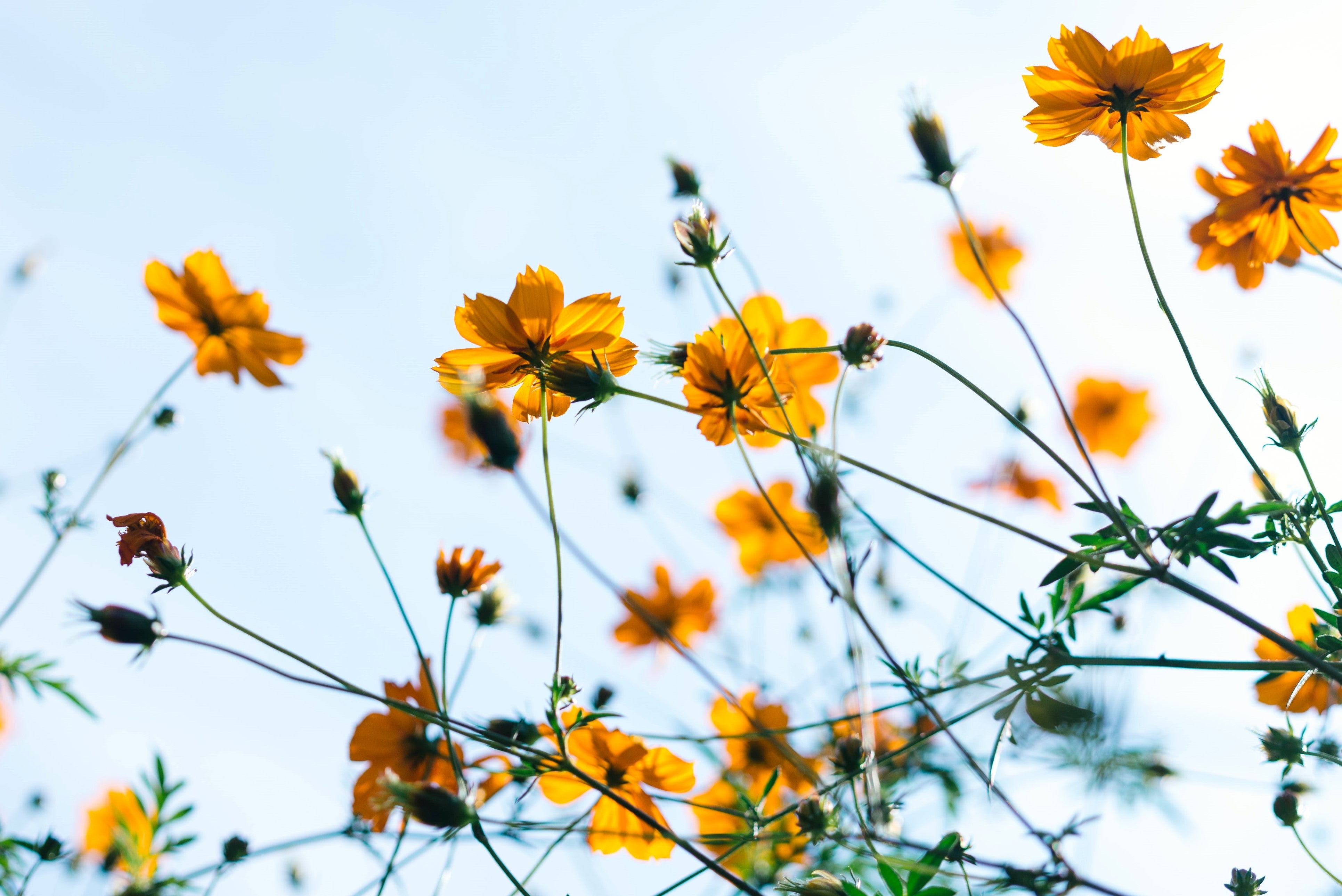 Lighter Days, Lighter Mood…