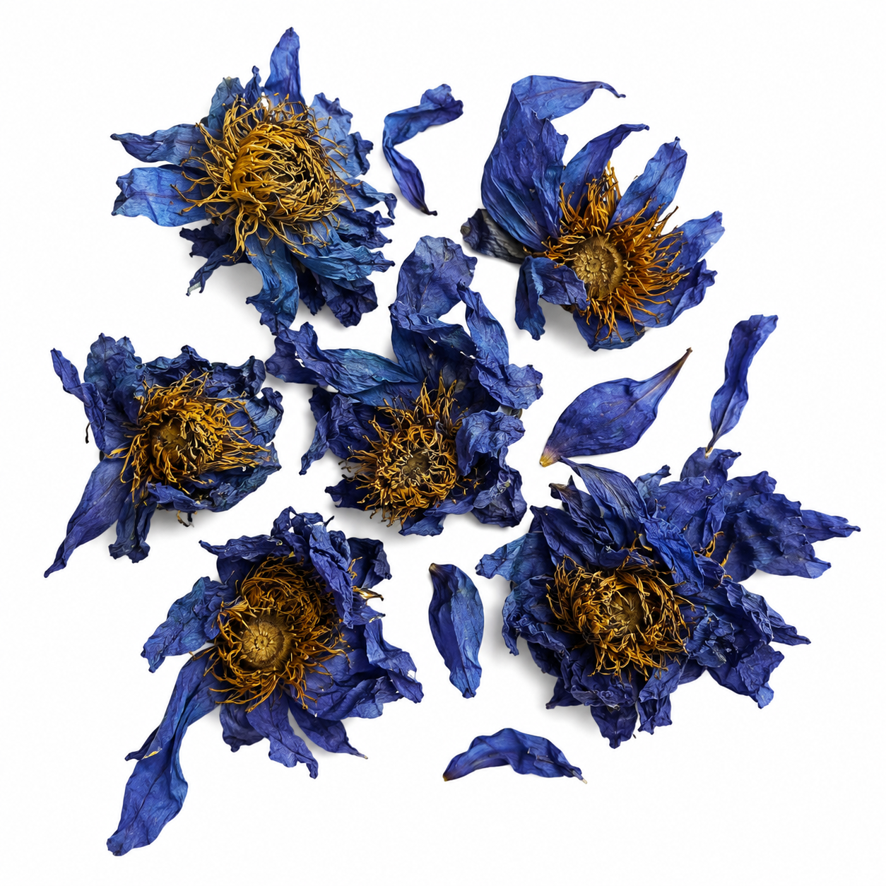 Organic Blue Lotus Tea for mediation and calm