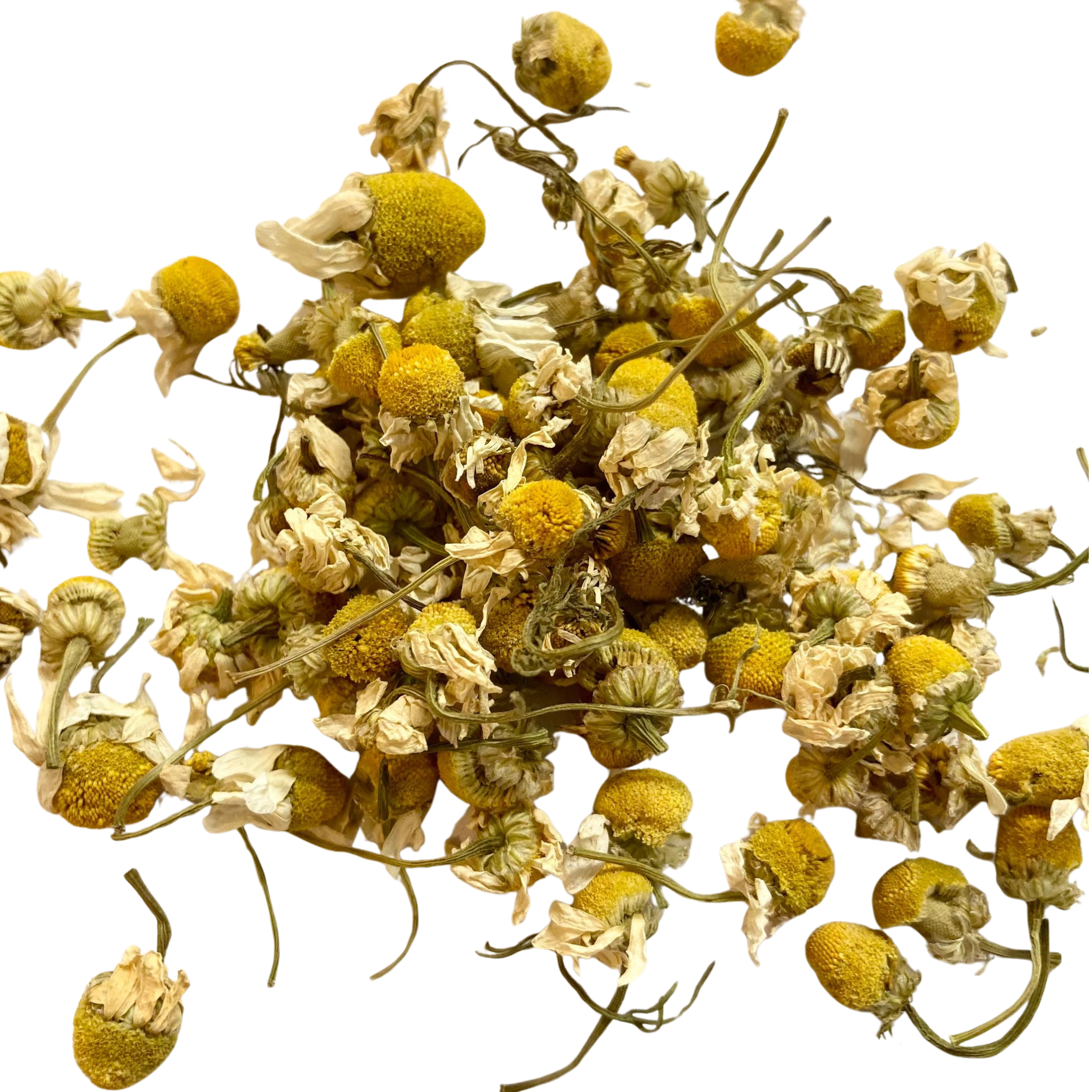 Organic Chamomile Herbal Tea for Digestion & Sleep Support