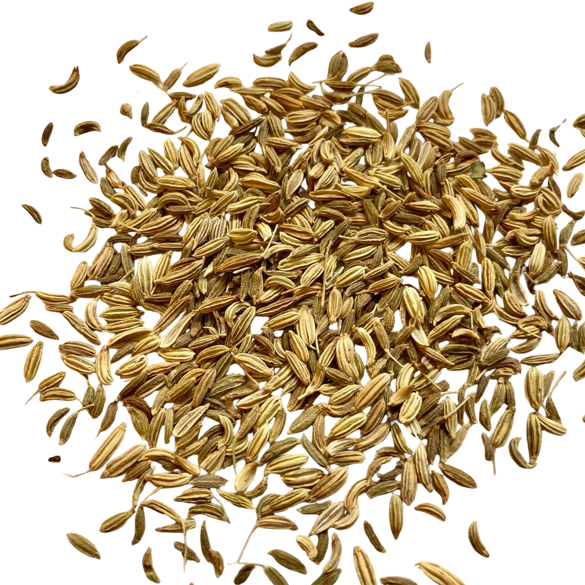 Organic Fennel Seeds Herbal Tea for Digestion and Milk Flow