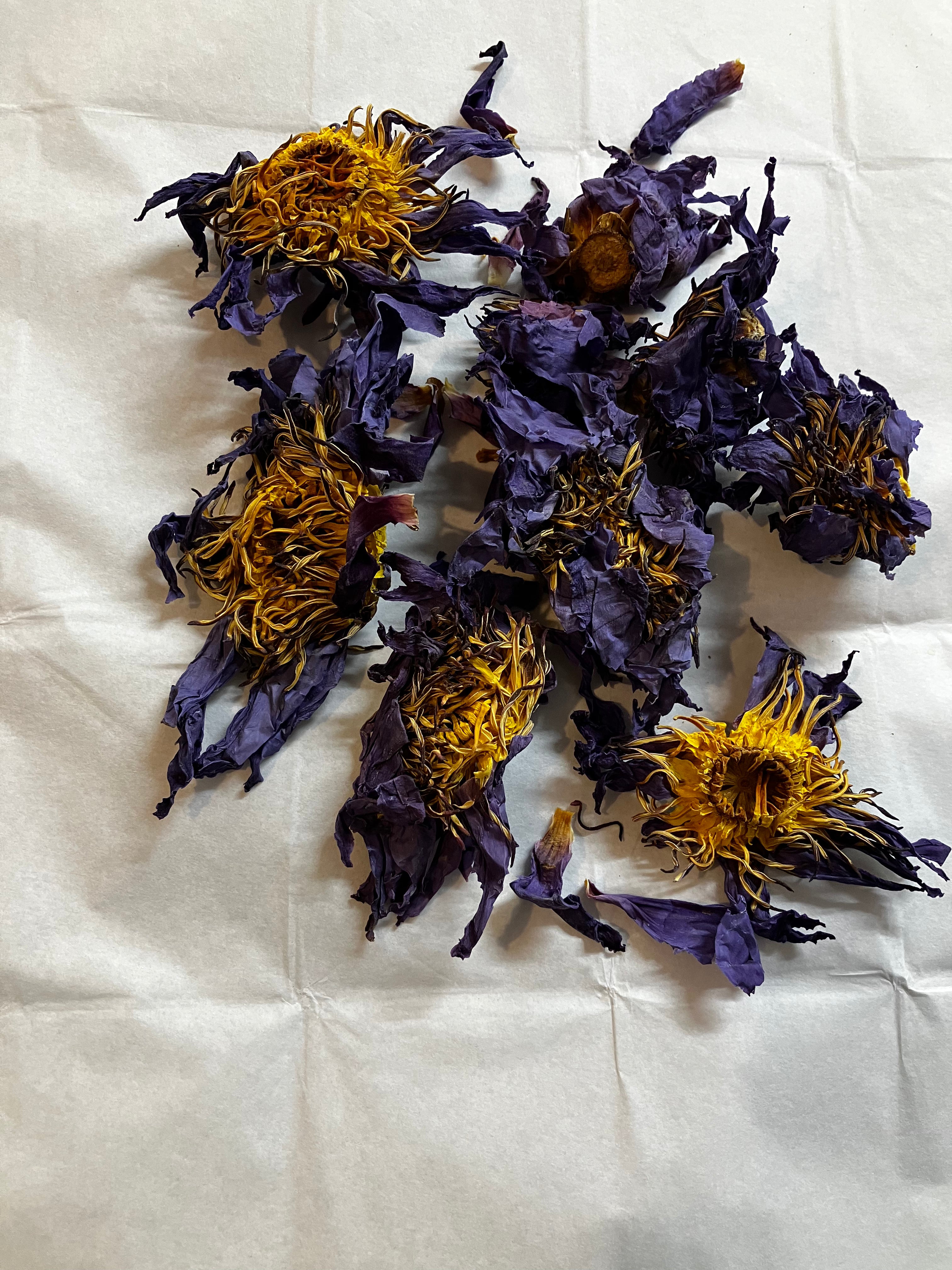 Organic Blue Lotus Tea for mediation and calm - The Herbal Dispensary Raglan