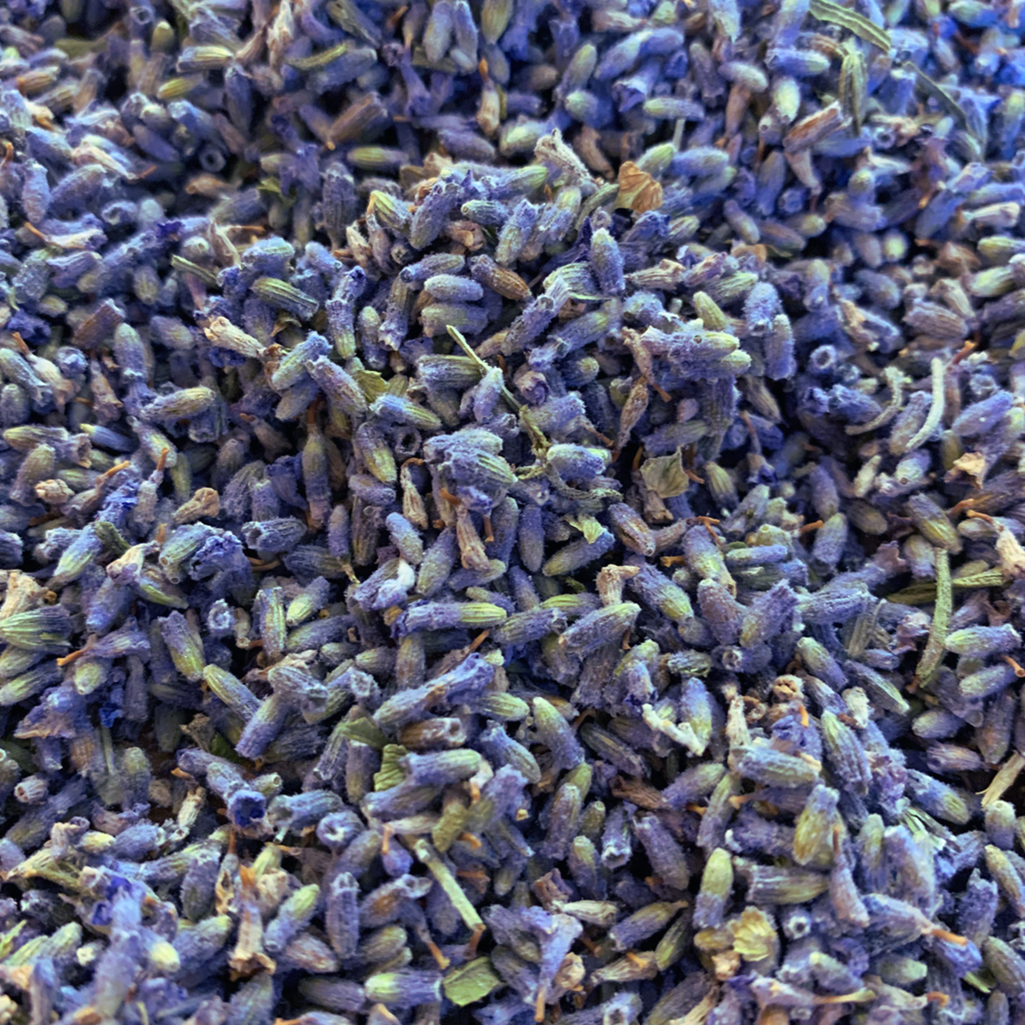 Organic Lavender Tea – Sleep & Relaxation