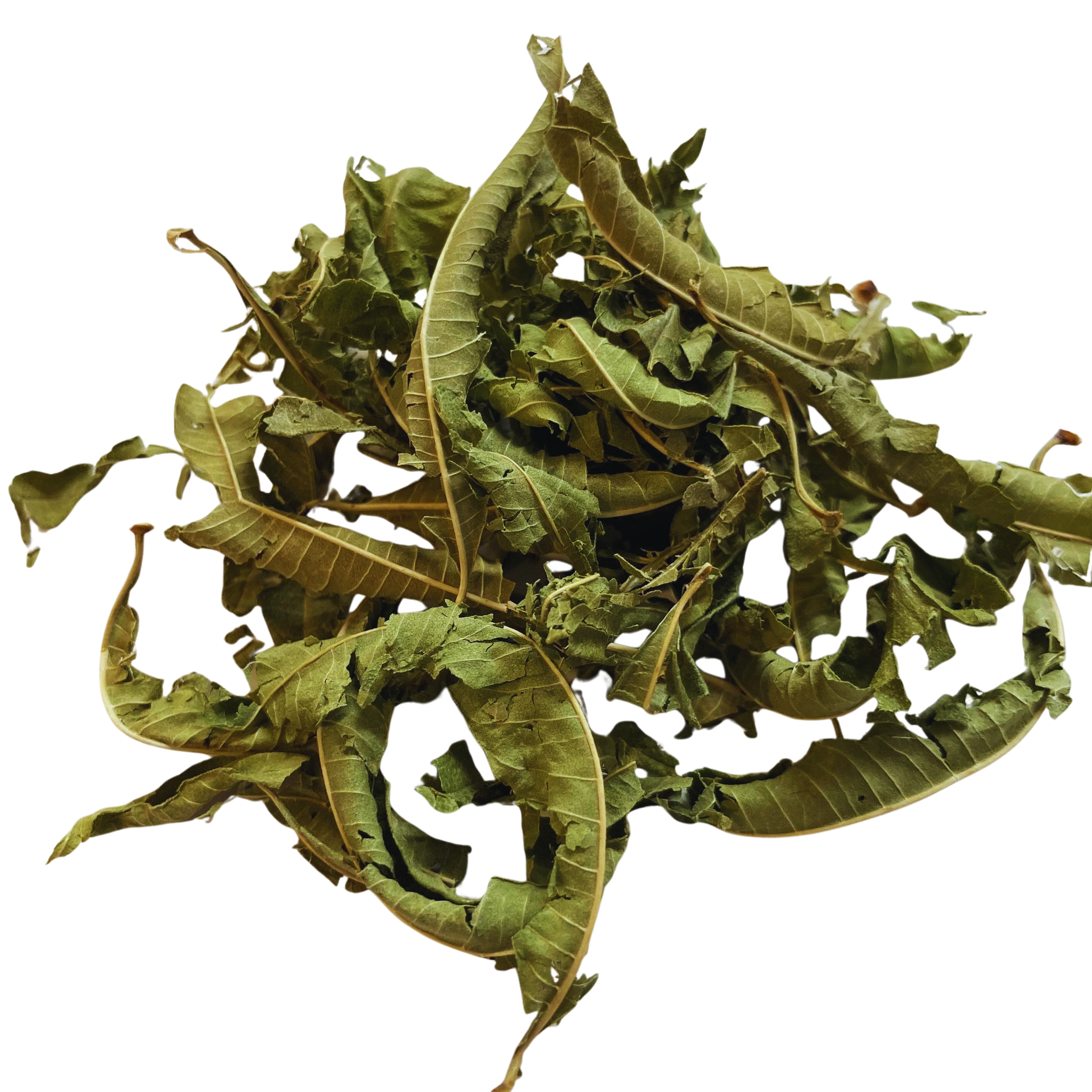 Organic Lemon Verbena Herbal Tea Digestion and Weight Loss