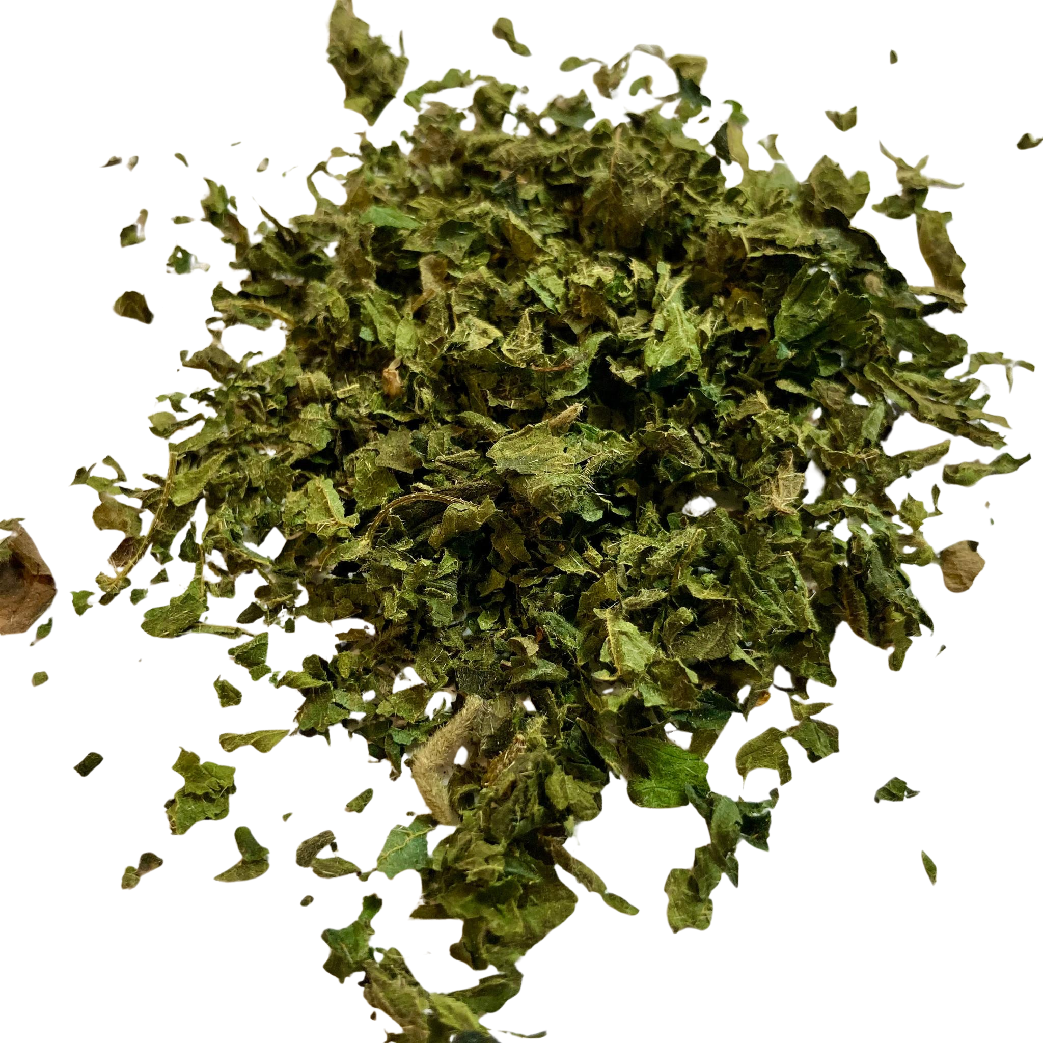 Organic Nettle Tea – Nutritive, Kidney Support & Whole-Body Tonic