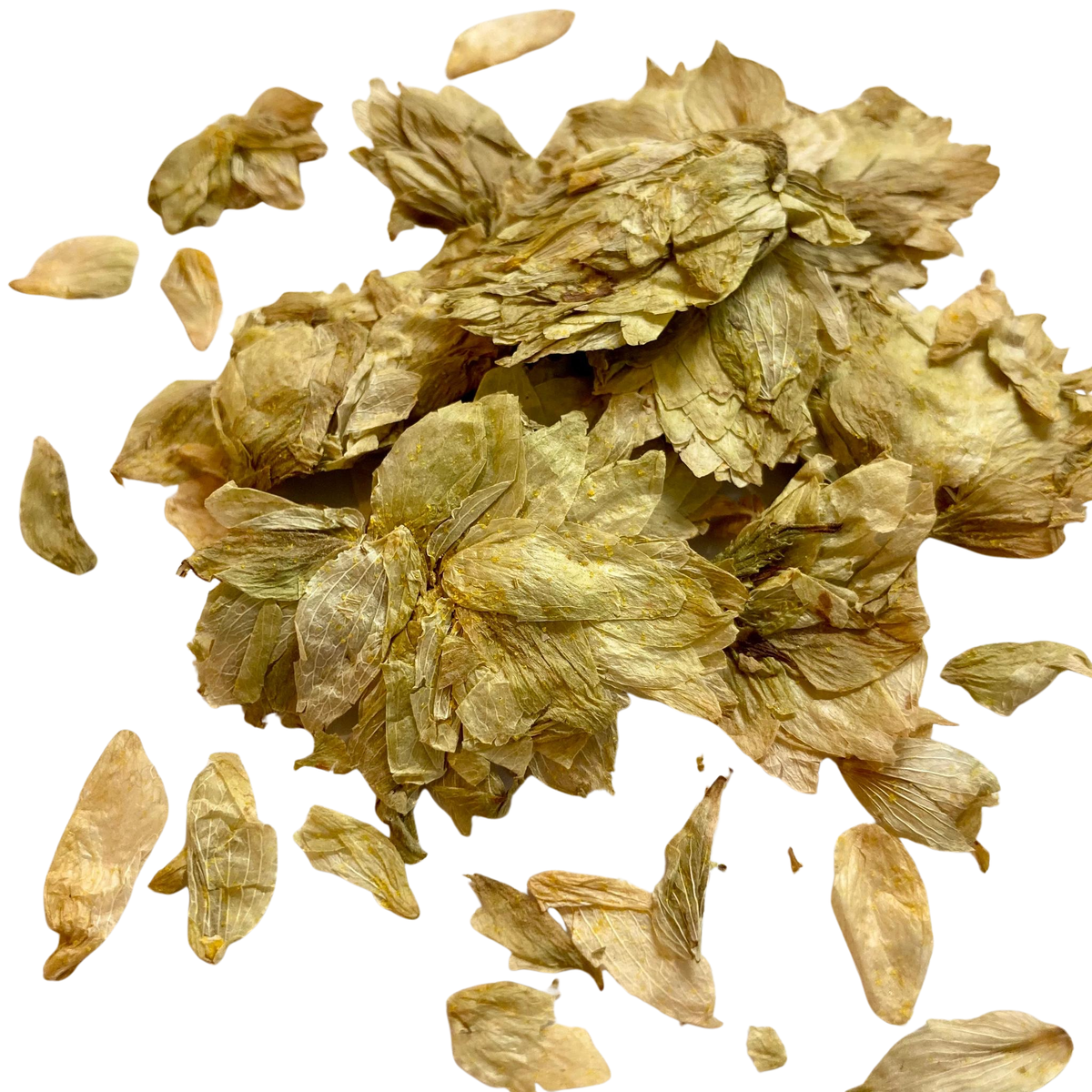 Dried pale golden-brown flower petals or botanical pieces scattered on a plain white background.