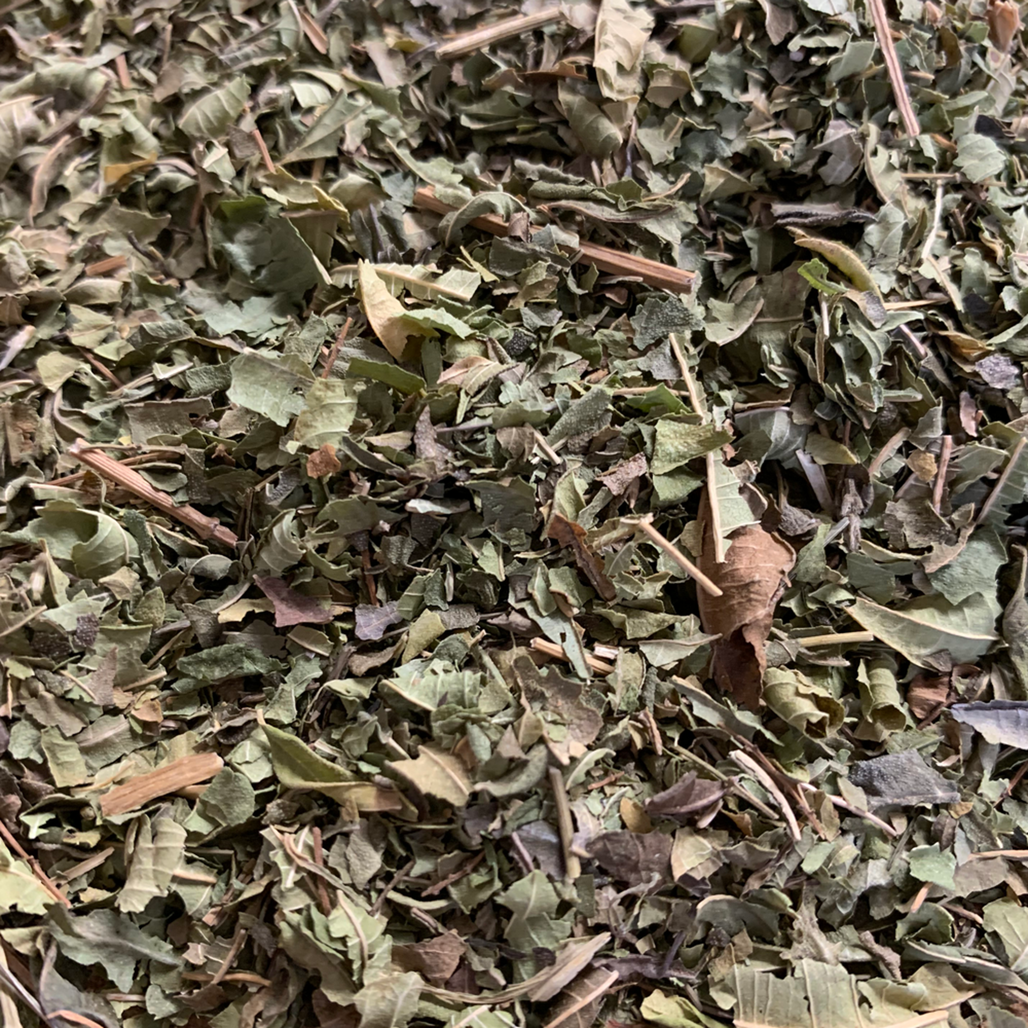ORGANIC LEMON VERBENA HERBAL TEA - The Herbal Dispensary Raglan
