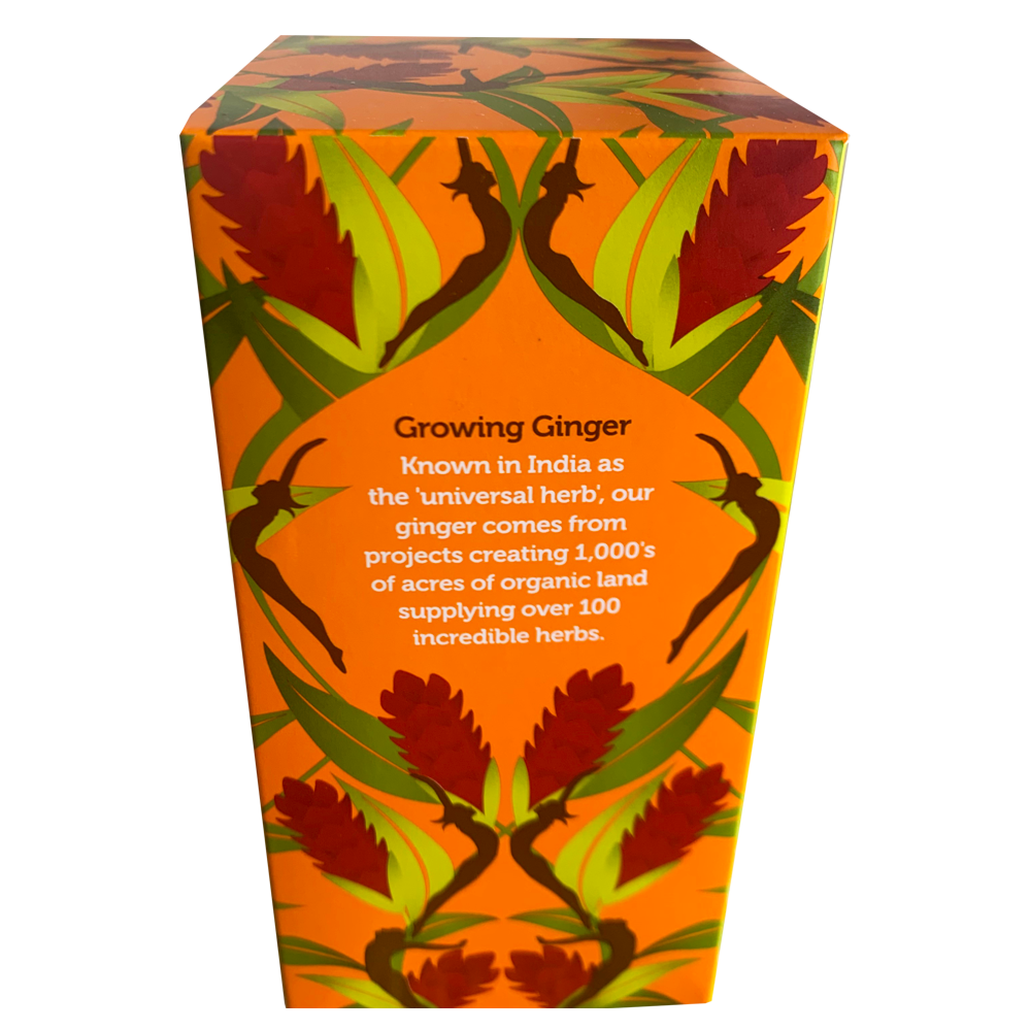 PUKKA ORGANIC THREE GINGER TEA BOX - The Herbal Dispensary Raglan