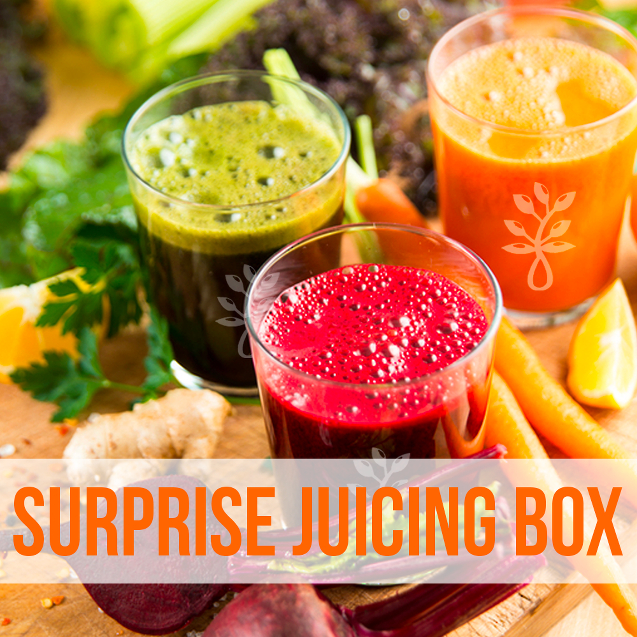 A SURPRISE ORGANIC MIXED JUICING BOX - The Herbal Dispensary Raglan