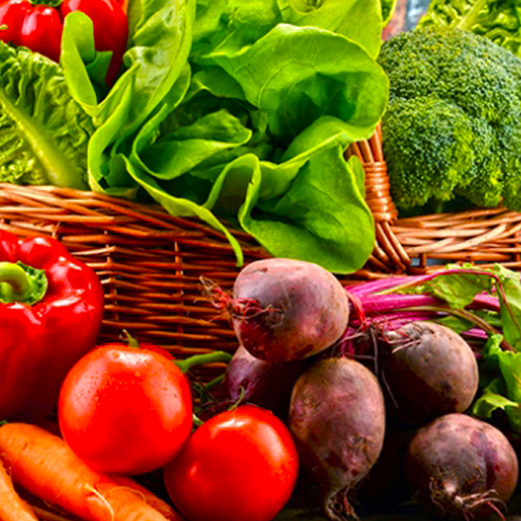 A SURPRISE ORGANIC VEGE BOX - The Herbal Dispensary Raglan