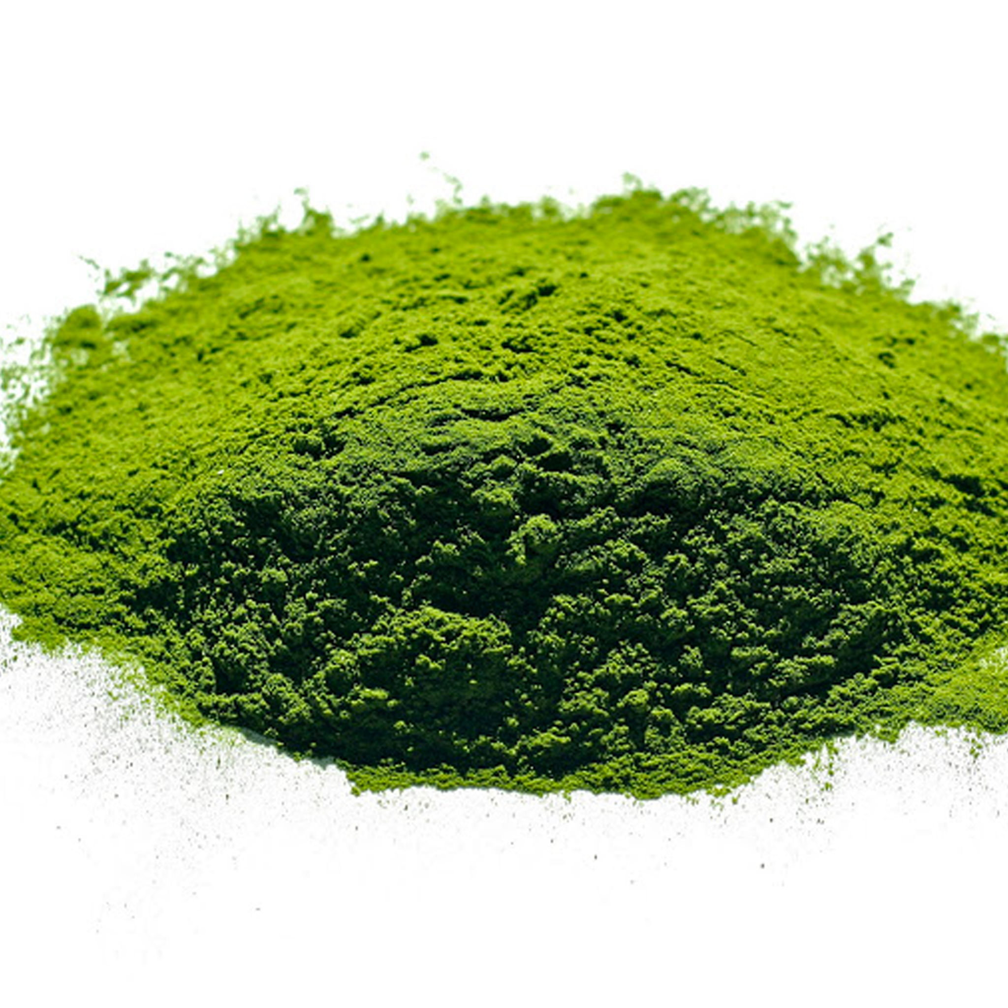 ORGANIC WHEATGRASS POWDER - The Herbal Dispensary Raglan