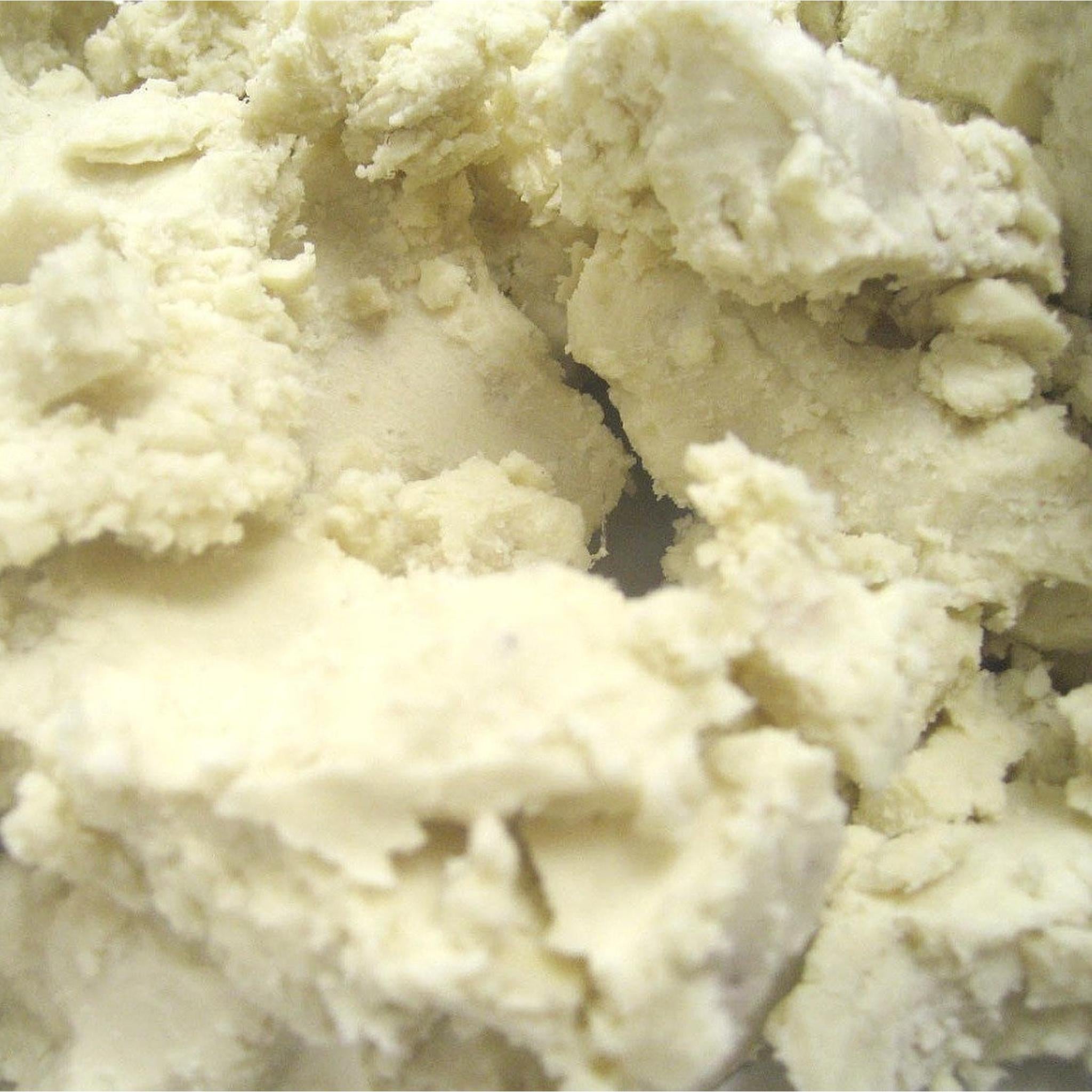 ORGANIC SHEA BUTTER 100G - The Herbal Dispensary Raglan